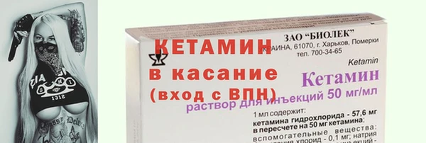 стаф Кулебаки