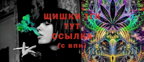 соль ск Краснослободск