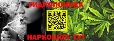 соль ск Кингисепп