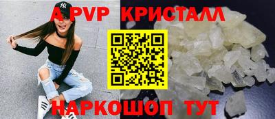соль ск Кингисепп