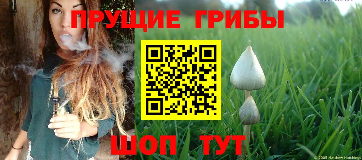 Галлюциногенные грибы Magic Shrooms  Чайковский 