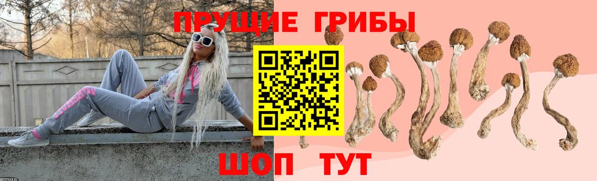 Псилоцибиновые грибы Cubensis Чайковский