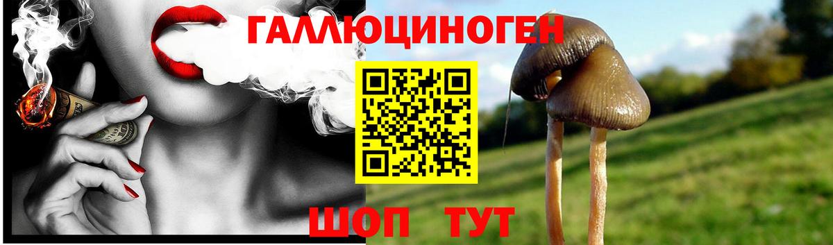 Псилоцибиновые грибы Cubensis  купить наркотик  Чайковский  Вход с VPN  Галлюциногенные грибы GOLDEN TEACHER 